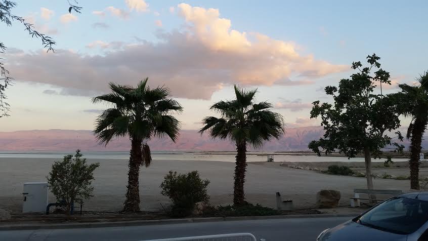 Отель Rose Dead Sea Неве-Зоар Номер фото