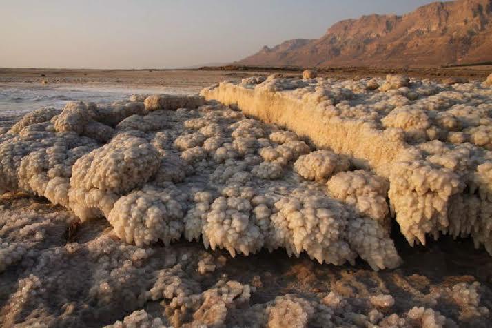 Отель Rose Dead Sea Неве-Зоар Номер фото