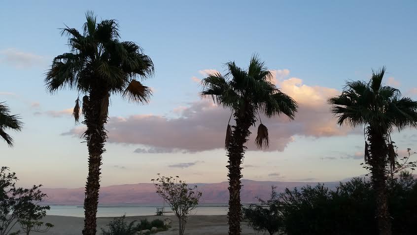 Отель Rose Dead Sea Неве-Зоар Номер фото