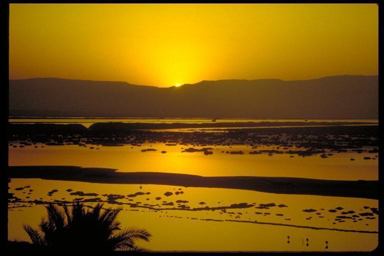 Отель Rose Dead Sea Неве-Зоар Номер фото