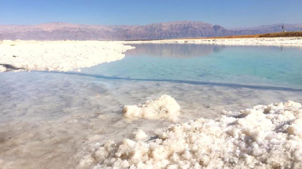 Отель Rose Dead Sea Неве-Зоар Экстерьер фото